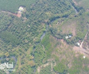 Đồng Nai phê duyệt chủ trương đầu tư Dự án Xây dựng cầu Mã Đà hơn 192 tỷ đồng