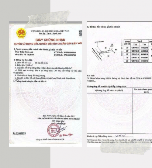 ĐẤT QUANG MINH - CHƠN THÀNH 590 TRIỆU TRỌN SỔ